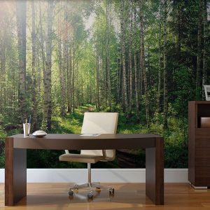 Papier peint Chemin à travers une forêt d’arbres